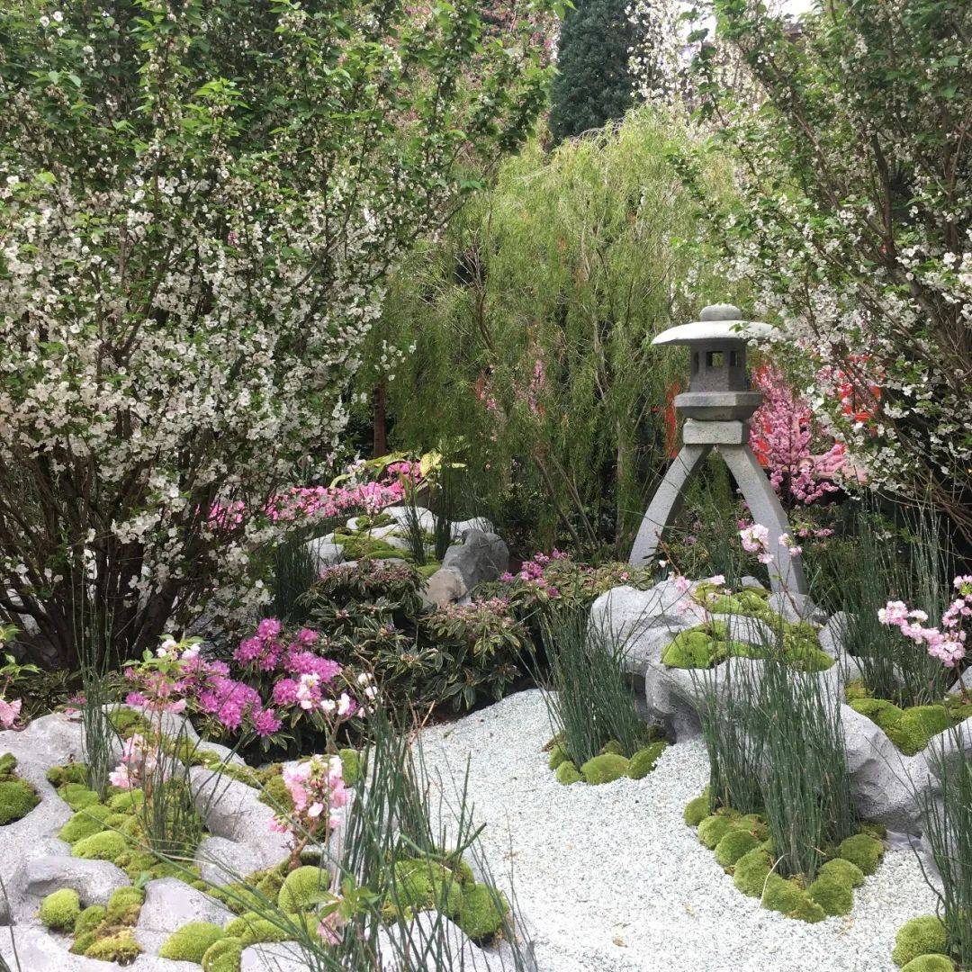 櫻花季去不了日本?那就在濱海灣和Hello Kitty共賞櫻