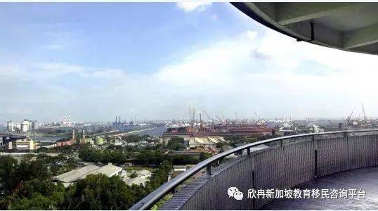 欣冉海外带您发现不一样的遛娃方式