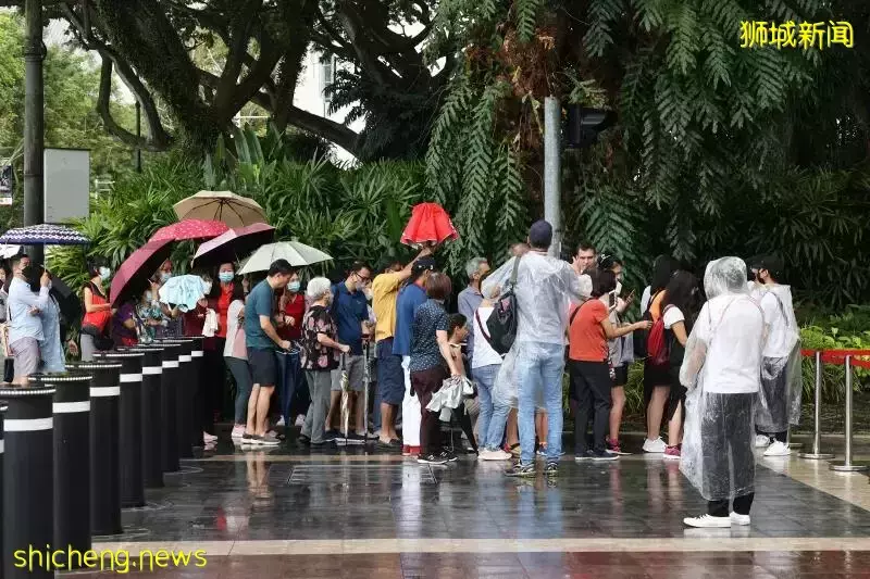 总统府开放日 数百人排队等候入场