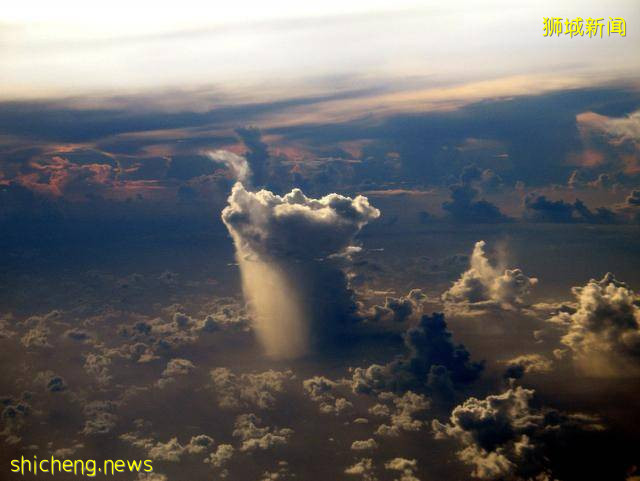 又“狂”又“野”的新加坡奇景!天氣多變,生態豐富!