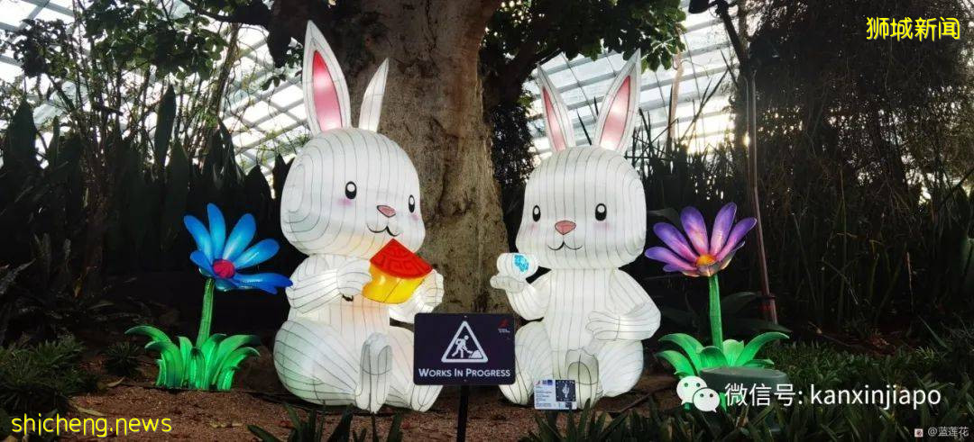 新加坡親子好去處！濱海灣～花穹～雲霧森林～空中步道半日遊