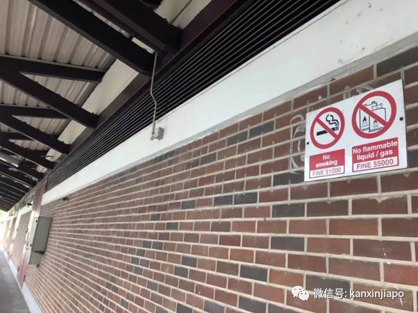 禁烟法令越来越严！新加坡有这些奇葩吸烟规则