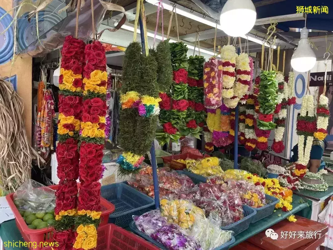 獅城新加坡 你的多元文化深深讓我著迷