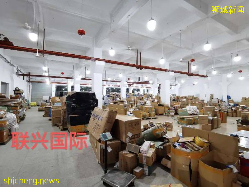 618必备!中国到新加坡海运物流,惊爆只要¥320每立方