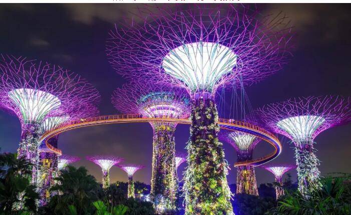新加坡版“潘多拉星球”再亮燈，阿凡達回來了