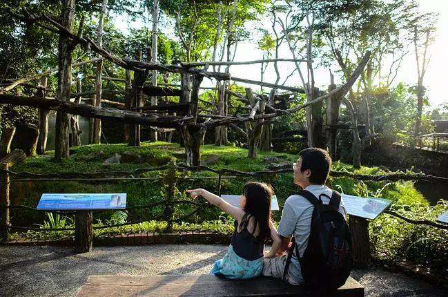 周傑倫子女天價貴族幼兒園曝光，網友表示還不如送孩子來新加坡