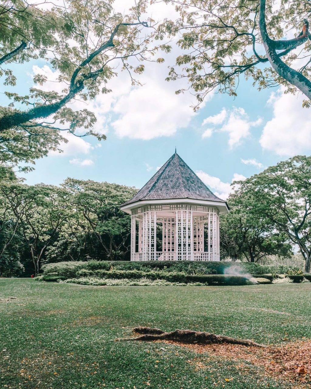 追风去💨 新加坡6大适合放风筝的地点!天气那么好,就要出外跑