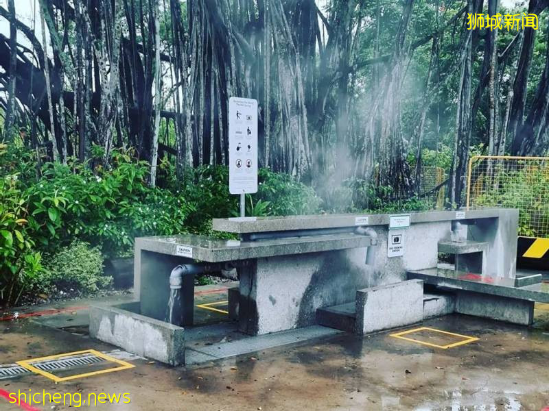 解封首個周末奇葩事件!溫泉輪流泡腳10分鍾、野豬野雞也瘋狂!