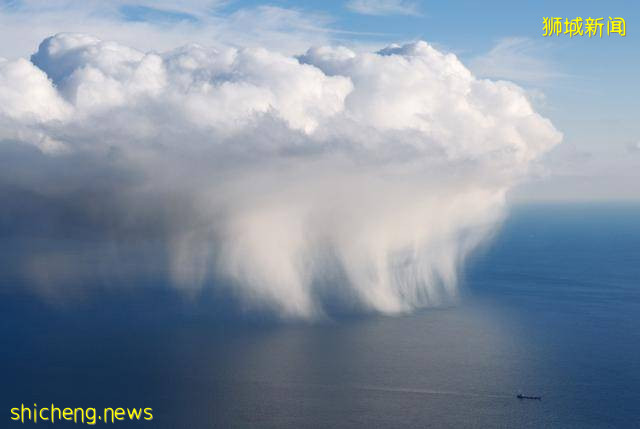 又“狂”又“野”的新加坡奇景!天氣多變,生態豐富!