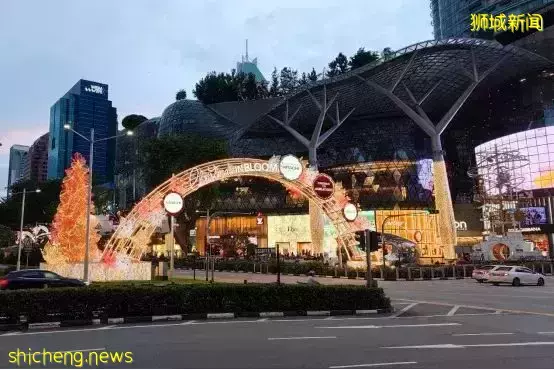 有确诊,新加坡全员退赛!专家呼吁小心奥密克戎,辉瑞说新冠2024结束