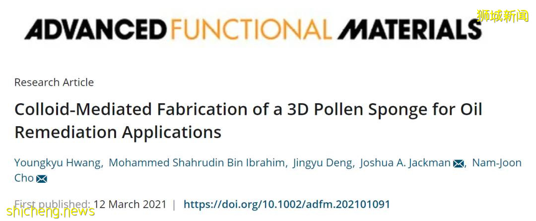 NTU科研團隊發明環保海綿，可吸附海洋石油汙染