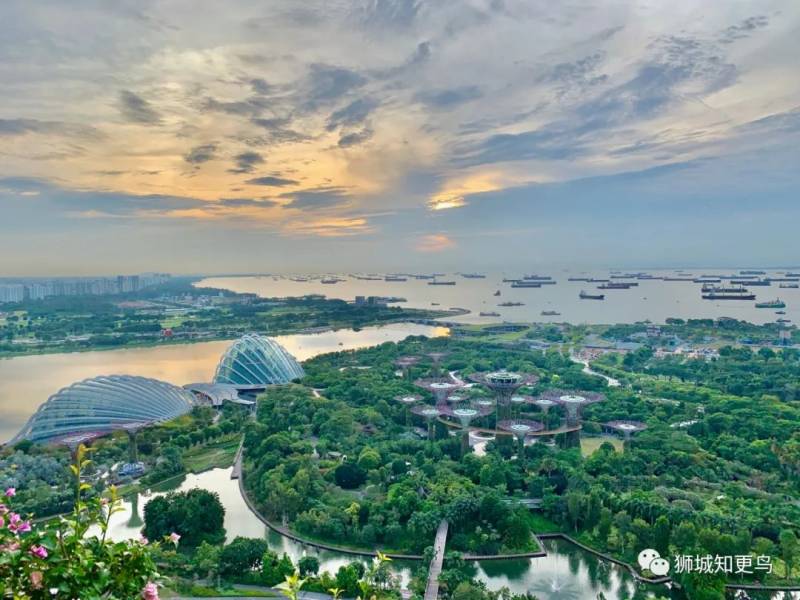 印尼和新加坡将开绿色通道,去巴淡岛度假有望了