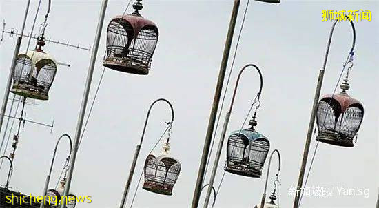 誰說新加坡沒有愛情?這10個地方,情侶一定要去