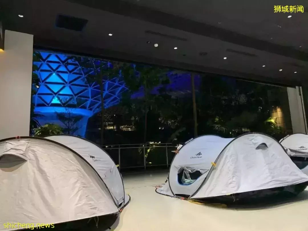 橫跨全島,我娃也要到這裏來玩,這個新加坡最佳遛娃地到底有什麽魅力