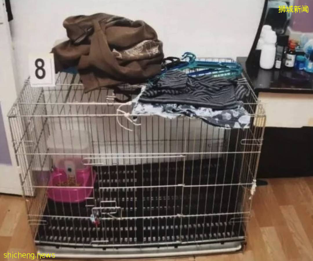 視頻曝光!這個新加坡籍女校長毆打虐童!“像拎小雞一樣”