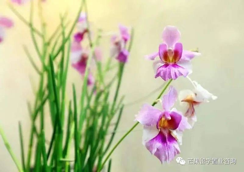 新加坡“親子娛樂”好去處盤點(1)