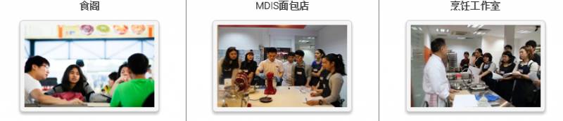 高考後留學丨新加坡管理發展學院（MDIS），最受歡迎的三大院系推薦