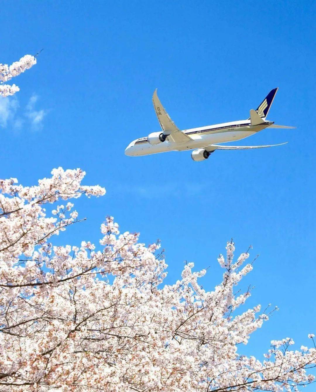 第三國新加坡拿美簽&返美攻略來了