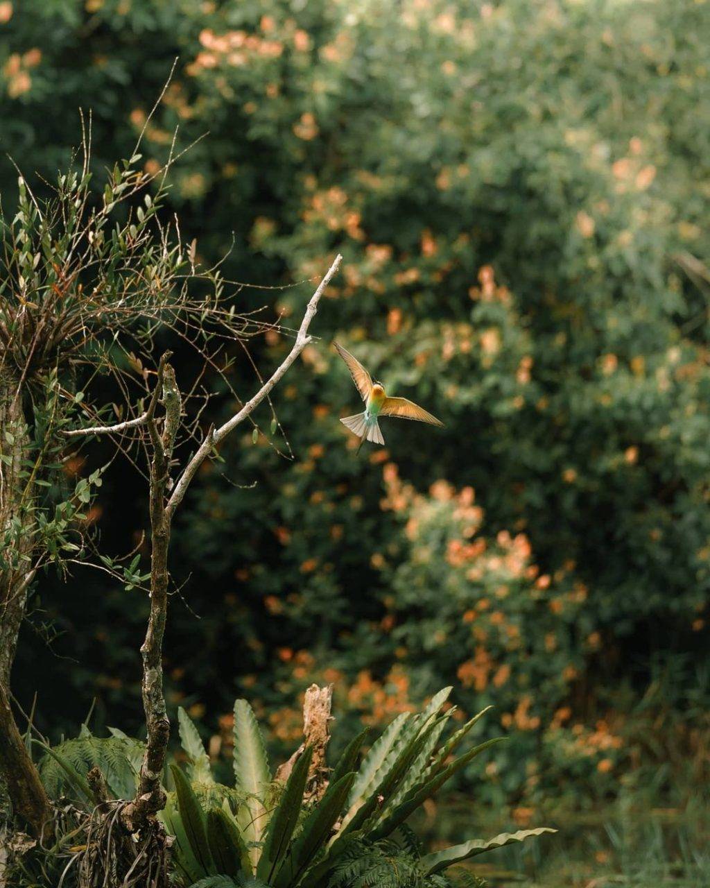 短程徒步地“徒”出不一樣的風景🌤 精選7大少于30分鍾的徒步路線!海邊漫步、登高望遠都是小意思