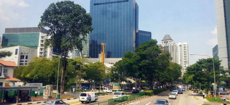 新加坡最佳学习街区大盘点(下)