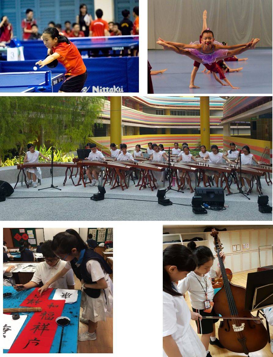 通过AEIS考试，你将进入这样的新加坡政府小学