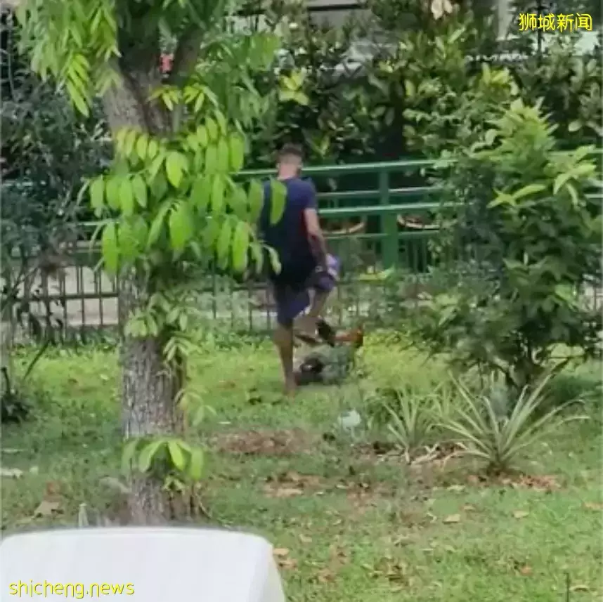 新加坡后港一男子拿着拖鞋狂追虐鸡引公愤,防虐动物协会发文寻人
