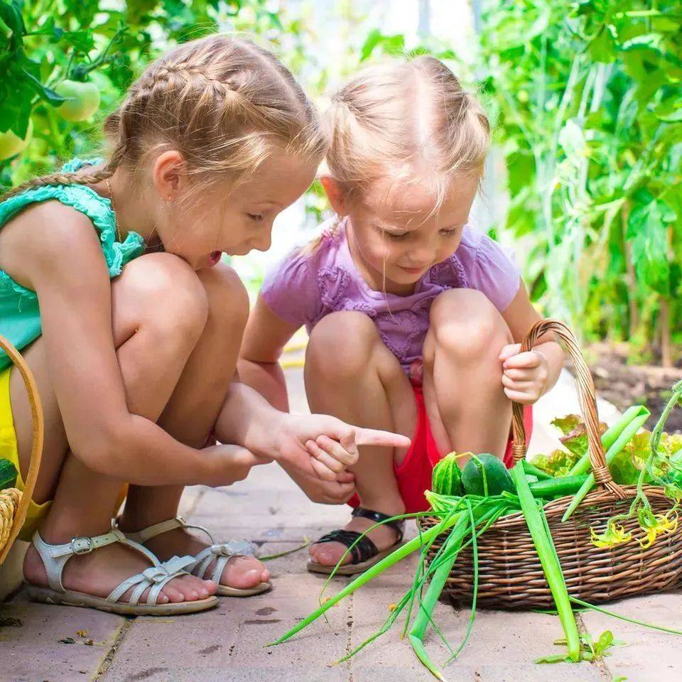新加坡最像欧洲小镇的小山坡,藏着30多家好吃好玩好逛的文艺感小店