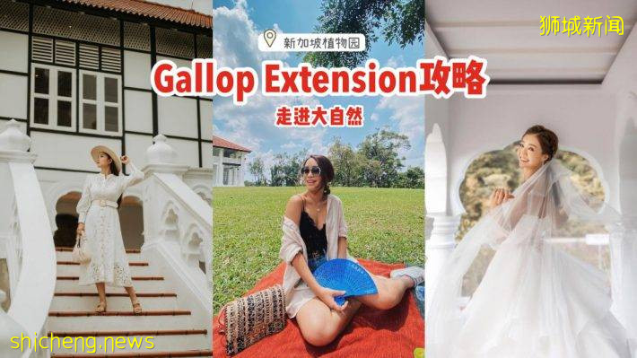植物園Gallop Extension攻略🌳山脊小徑+戶外遊樂設施+森林探秘館+藝術畫廊、走進大自然