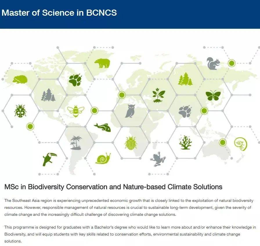 【新加坡留学】国立推出四大新专业,南洋理工专业提前截止后又延迟