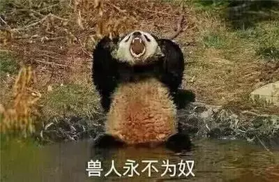 李显龙发文点赞:奥特曼闪现新加坡,飞越滨海湾、打败小怪兽