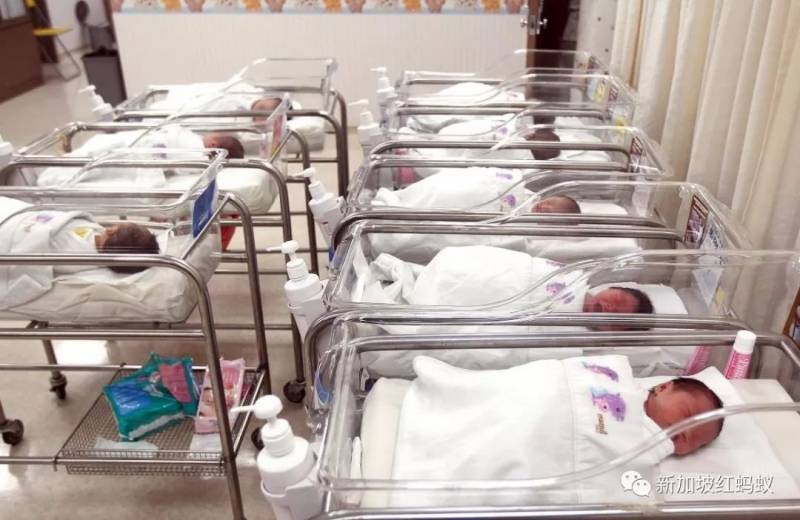 新加坡人再不生孩子，政府就被迫放宽移民政策