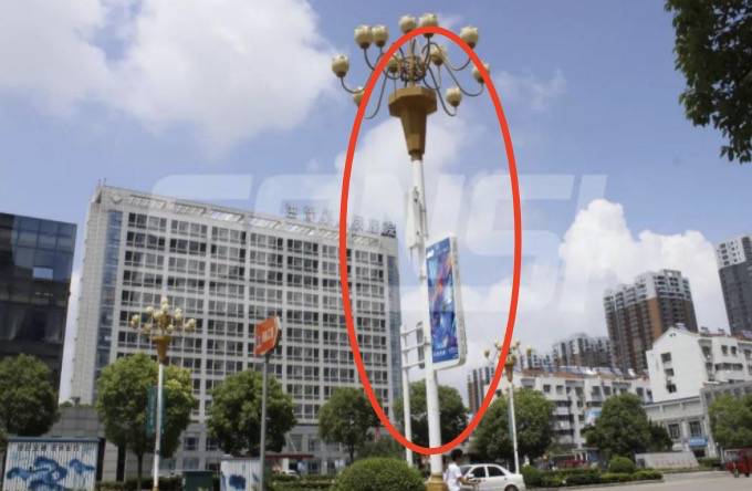 剛剛！新加坡在這方面超過美國和中國，全球第一！美國總統發帖表示不服