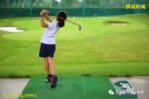 了解新加坡公立/私立/國際學校、理工/藝術/教育模式