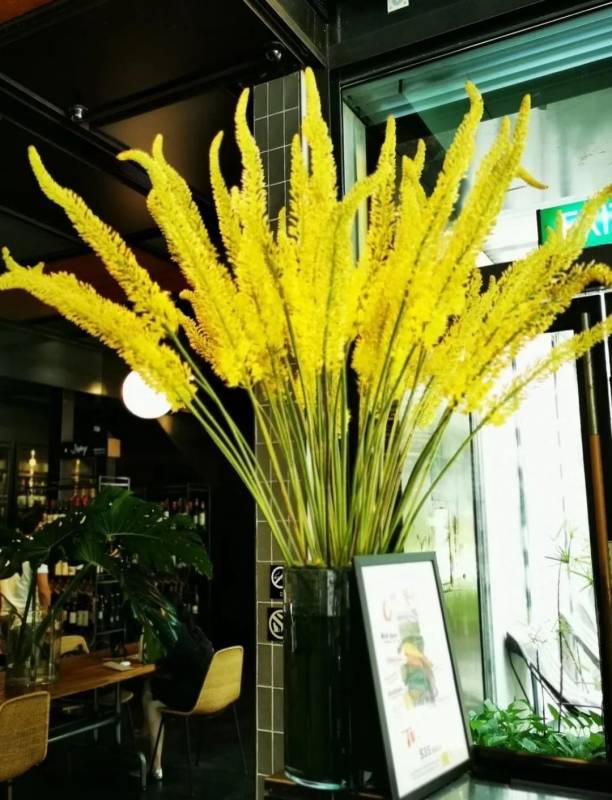 新一輪咖啡館打卡指南,全部親嘗