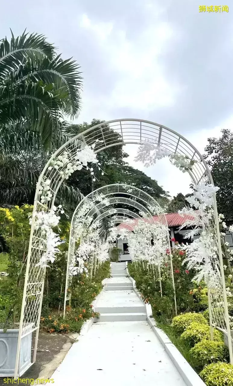 秒出大片!新加坡超火网红打卡景点,一秒穿越到国外