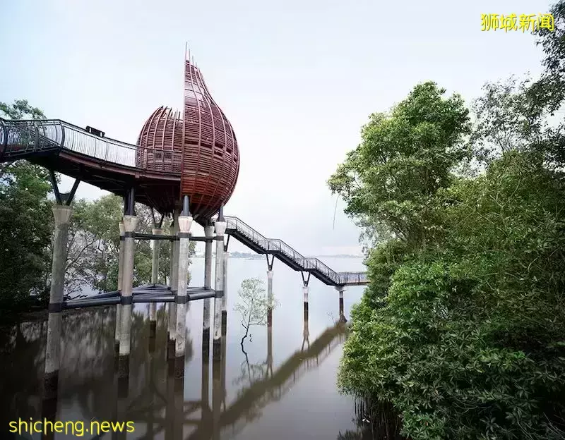 周末不懂要去哪?去新加坡TOP 3自然風光吧