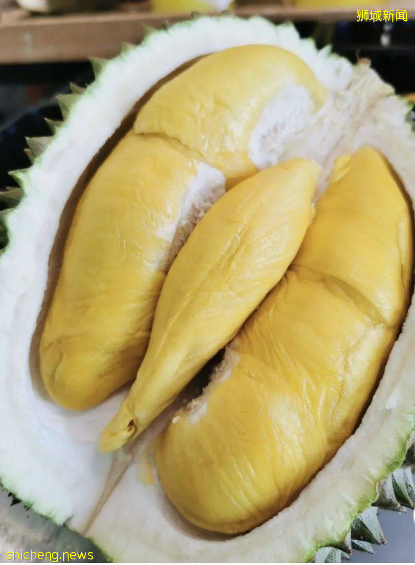 吐血整理！新加坡這20家榴梿太香了！S$11起