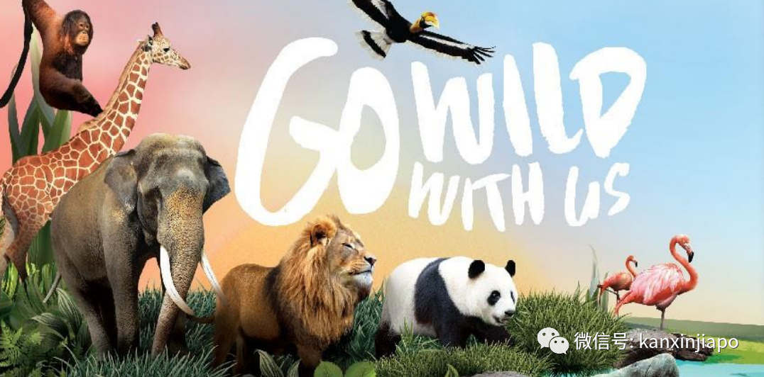 实力晒娃，让你家宝贝参加！总值3000新币奖品等你赢取