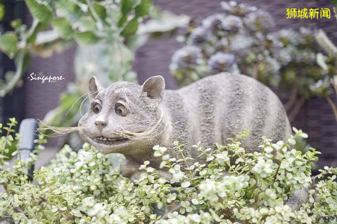 你爲什麽需要新加坡？旅行家、企業家、未來家來告訴你