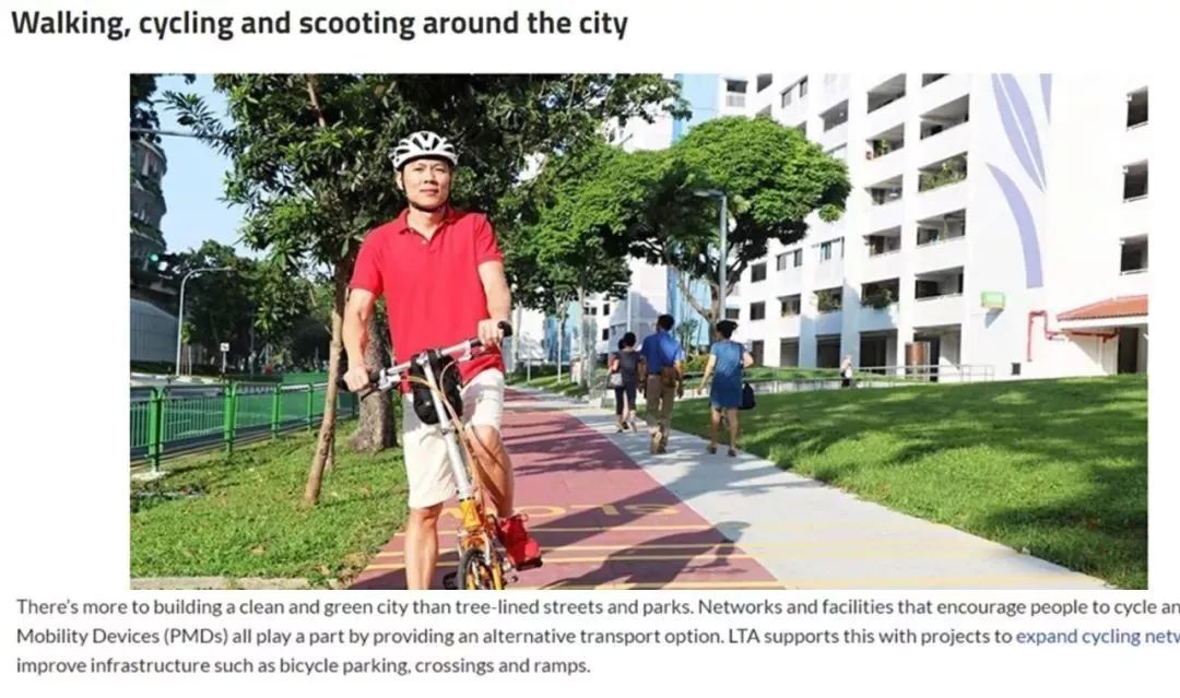 "新加坡电动滑板车禁令让我14万新币打水漂,负债累累!"