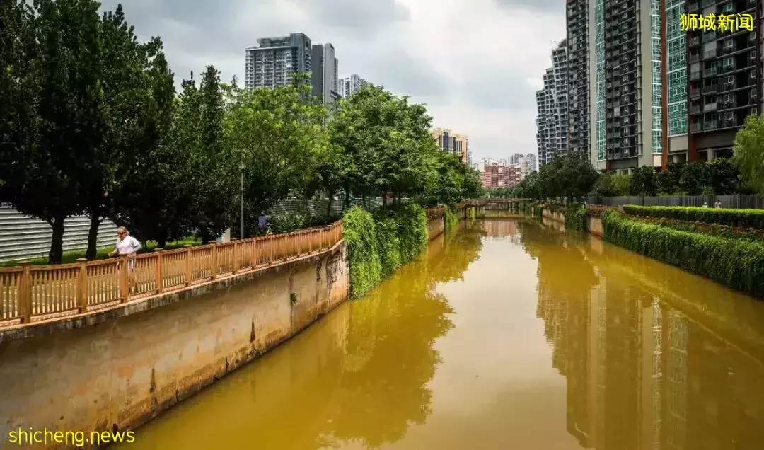 從新加坡市區至鄰裏,騎一趟時空交疊之旅