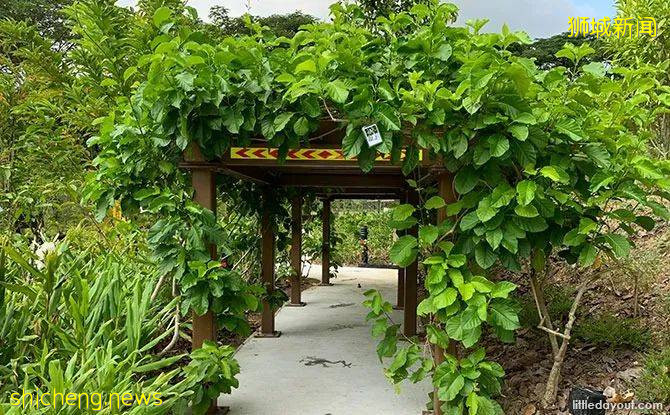 新加坡新開了一個“ 讓心情好起來的神奇兒童公園”，去試試