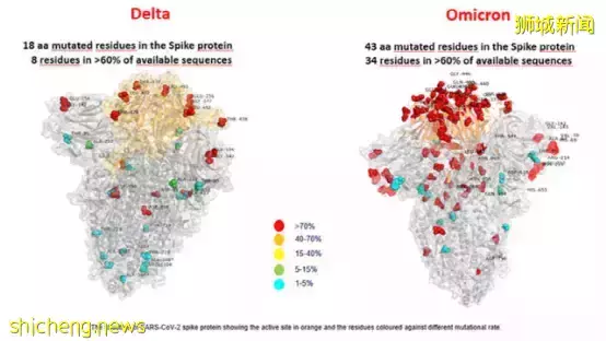662例，4人死，奧密克戎病毒若“攻入”新加坡，或至少1傳五人​