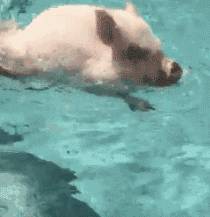 “我陪儿子上游泳课,被其他妈妈投诉穿得太性感...”