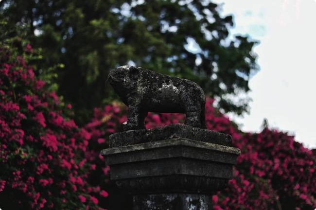 你沒看錯！這麽漂亮的美景是在新加坡，而且在後港