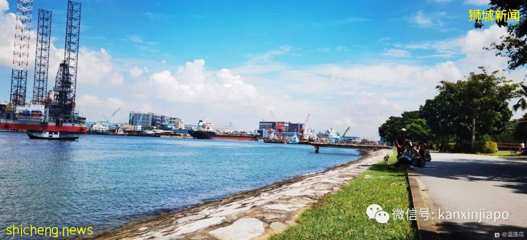 新加坡小众遛娃好去处,吃喝玩乐一应俱有