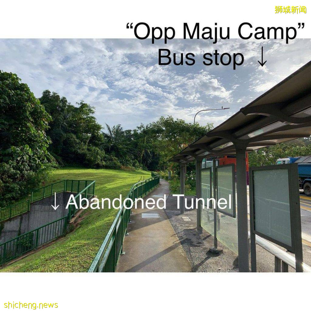 现实版《千与千寻》同款神秘隧道,直接通到Clementi Forest原始森林