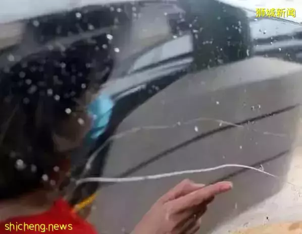 稱遭拾荒漢騷擾 女店主報警6次