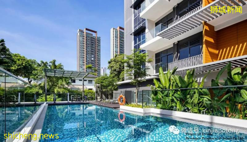 發生了什麽？新加坡阻斷期間大筆資金流入!