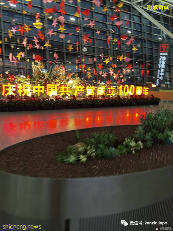 新加坡飞广州全记录!“名字和护照号码打错,绿码都申请不了”